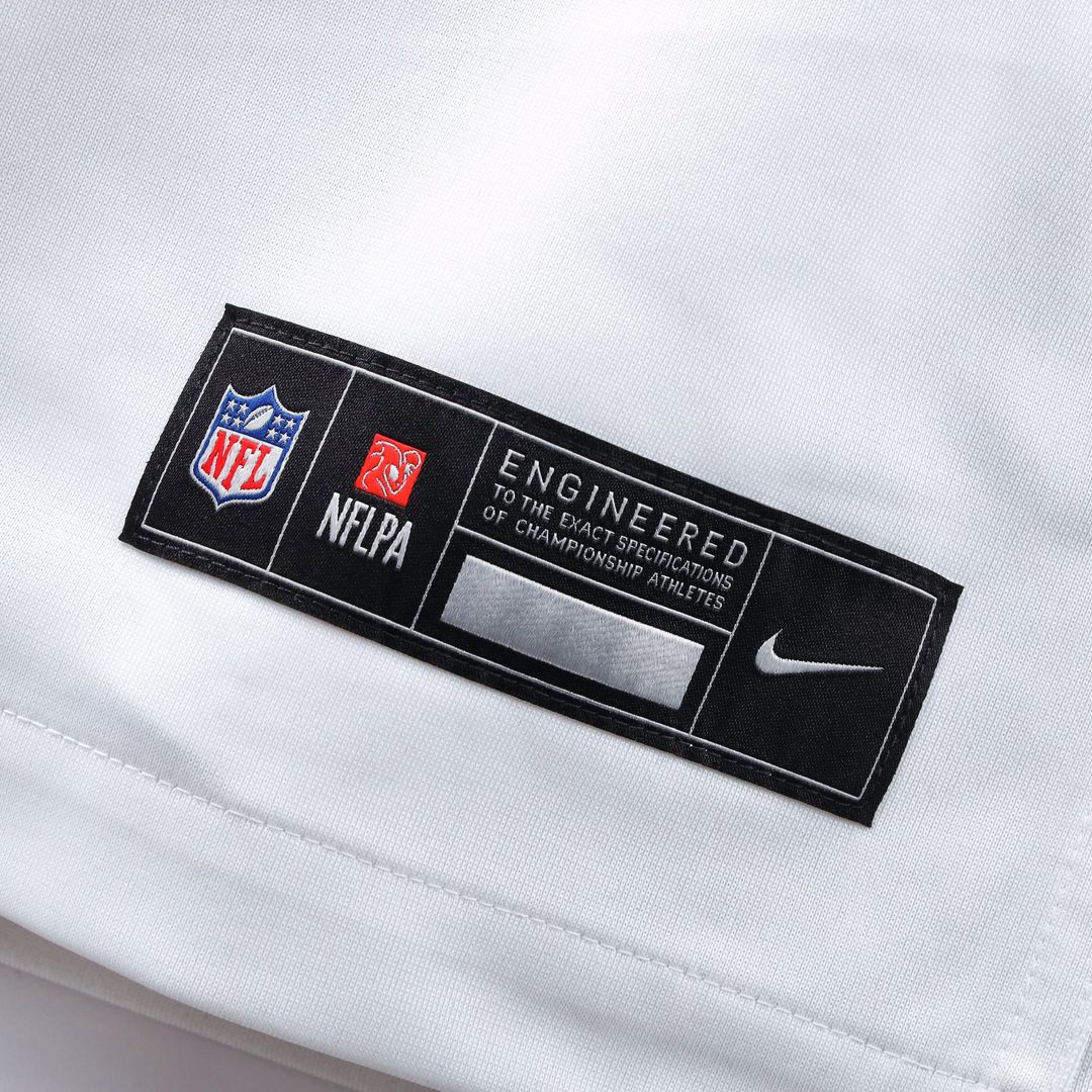 Hail Raiser Washington Commanders Terry McLaurin Nike Black Alternate Game Jersey